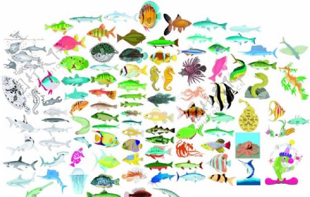 各种鱼类卡通鱼彩鱼图片
