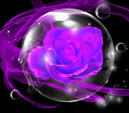紫色梦幻水晶球玫瑰图片