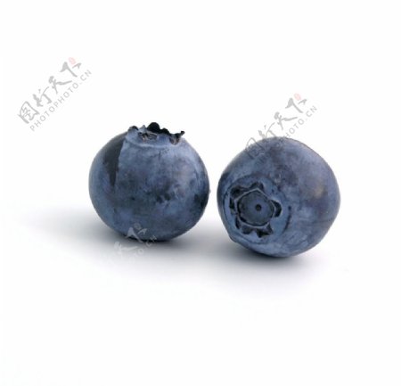 蓝莓浆果图片