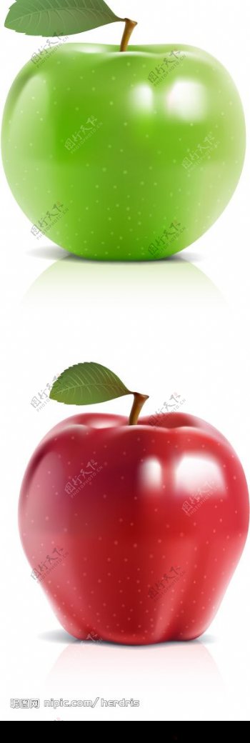 红苹果与青苹果矢量素材图片