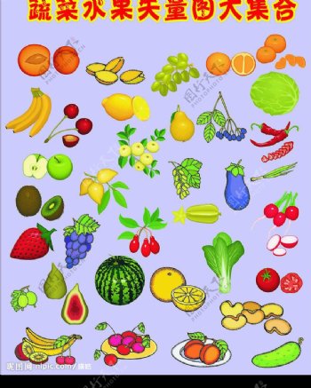 各类蔬菜水果大集合图片