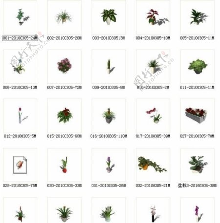 草图植物组合图片