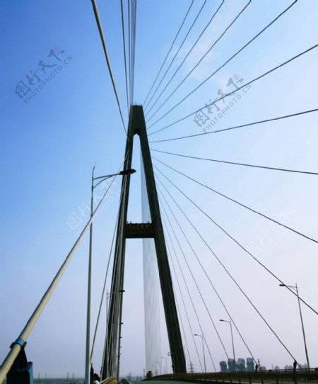 海河大桥图片