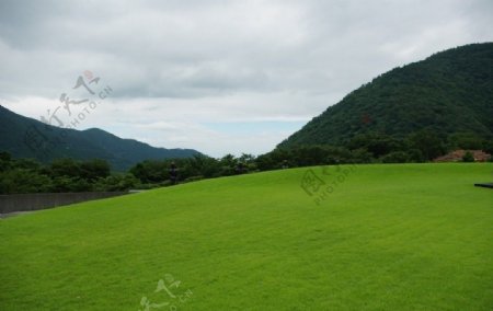日本神奈川县箱根青山绿地图片