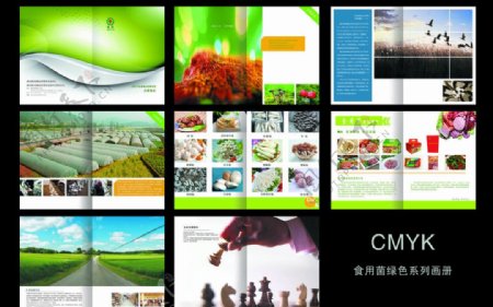 绿色食用菌公司画册图片
