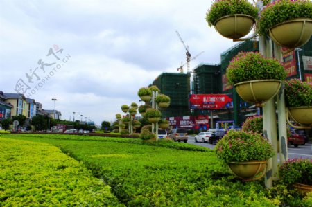 城区绿化带图片