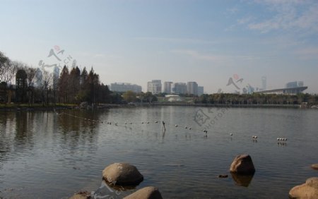 上海世纪公园内湖图片