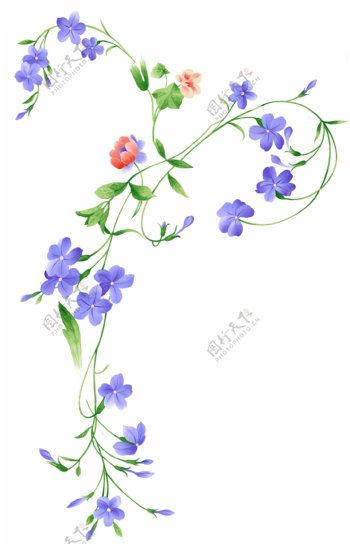 紫色花藤素材图片