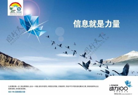 中国移动动力100形象宣传大雁篇图片
