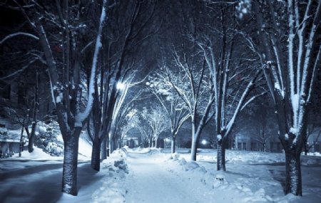 冬季夜景图片