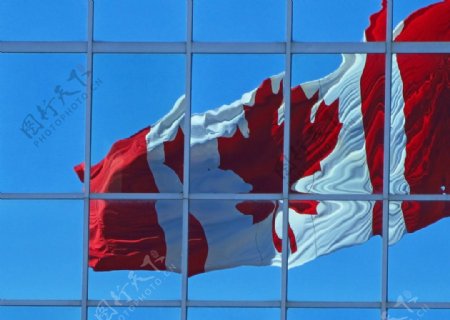 加拿大国旗图片