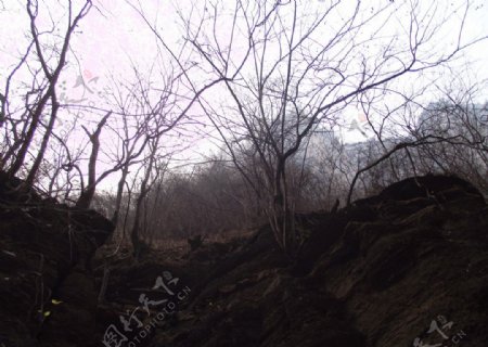 云台山冬景图片