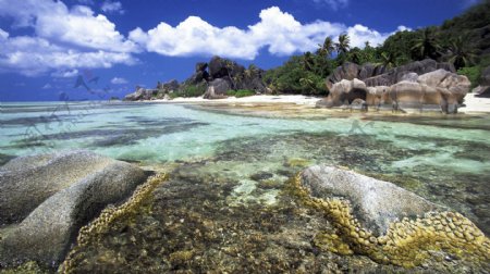 蓝天白云海岸礁石图片