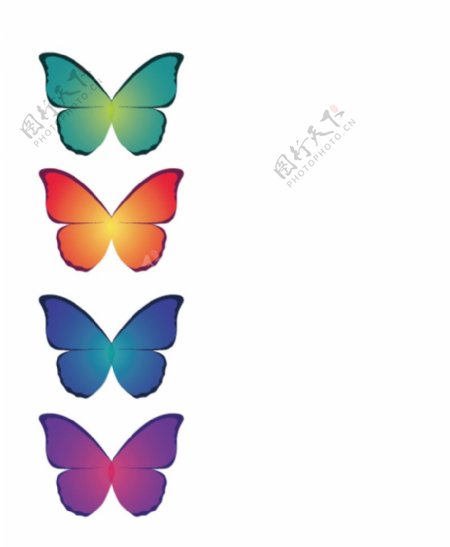 蝴蝶彩色4个图片