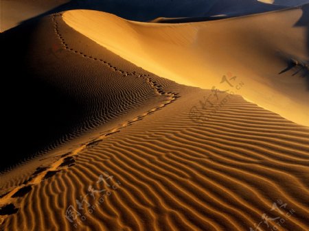 沙漠里的路图片