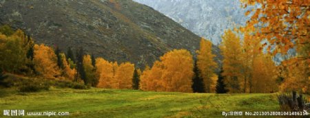 新疆景观图片