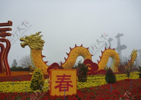 广州海心沙公园风景图片