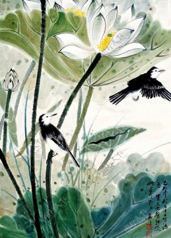 荷塘翠鸟图片