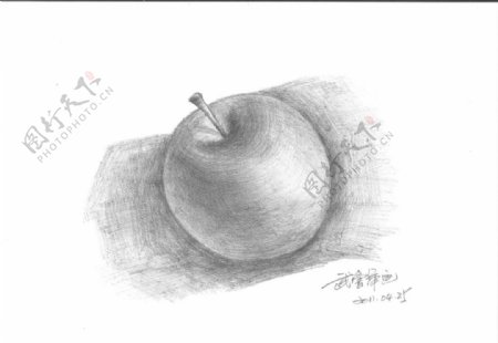 静物素描苹果图片