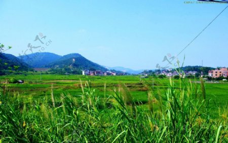 梅州山水田园风光图片