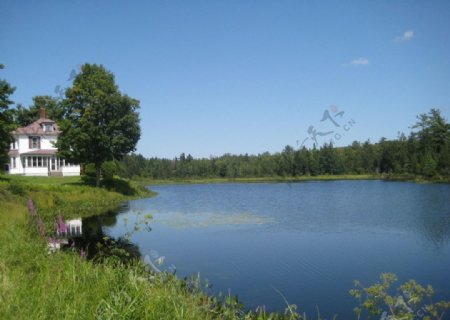 湖岸景色图片