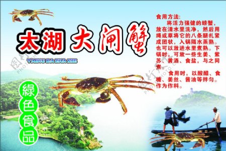 太湖大闸蟹食用方法图片