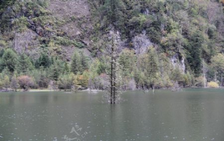 湖面图片