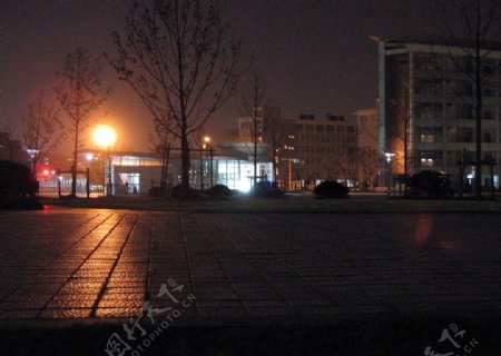 浙江大学城市学院夜景图片