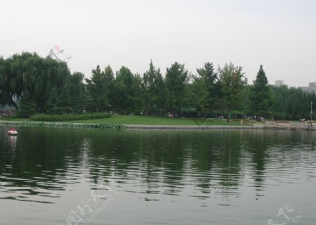 红领巾公园池塘图片