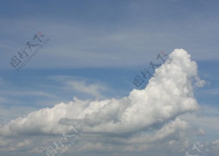 神马浮云图片