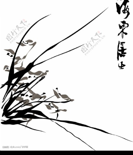 梅兰菊竹图图片