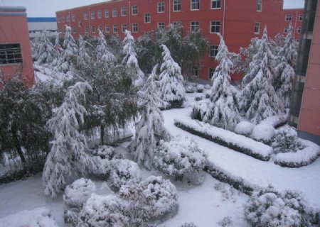 校园雪景图片
