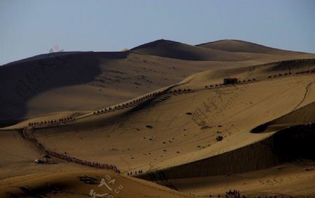 鸣沙山骆驼龙图片