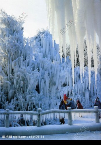 冬景迷人哈尔滨图片