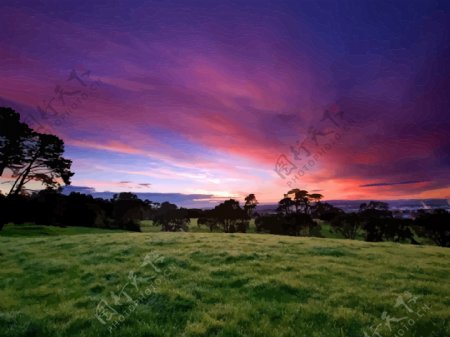 夕阳草地背景图片