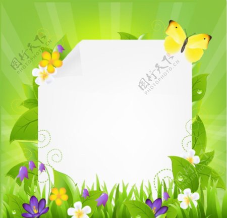 草地鲜花绿叶蝴蝶环保背景图片