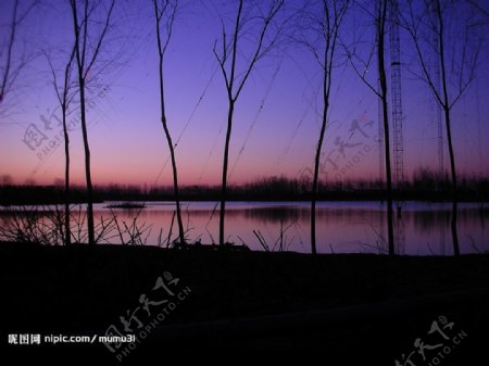 蟹岛清晨湖水树影图片