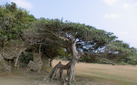 台湾鹅銮鼻自然公园图片
