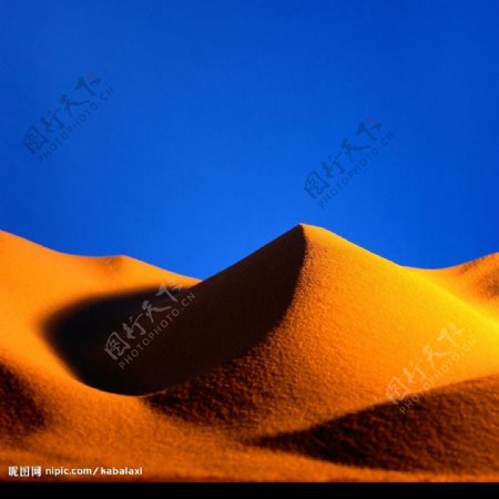 沙漠丽景图片