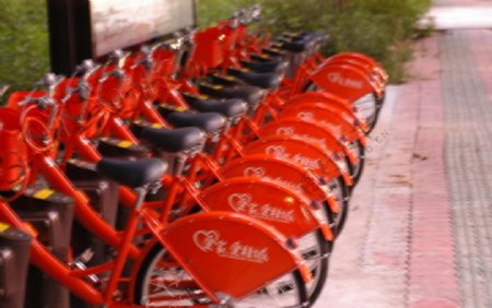 桂城公用自行车图片