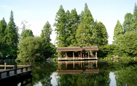 杭州西湖美丽公园图片