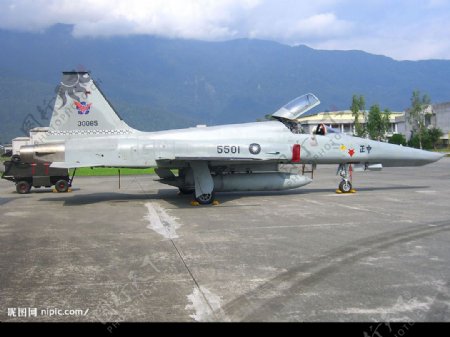 台灣空軍中正號虎式戰鬥機图片