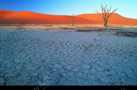 沙漠风光荒漠干涸的湖泊图片