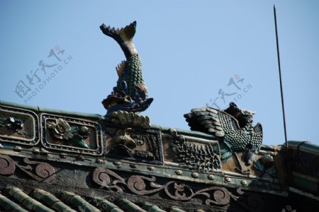 南海神庙龙鱼图片