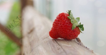 木头上放着的草莓图片