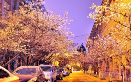 贵州师范大学夜景图片