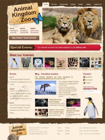 动物园网站模板图片