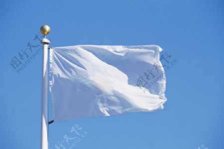 空白旗帜图片