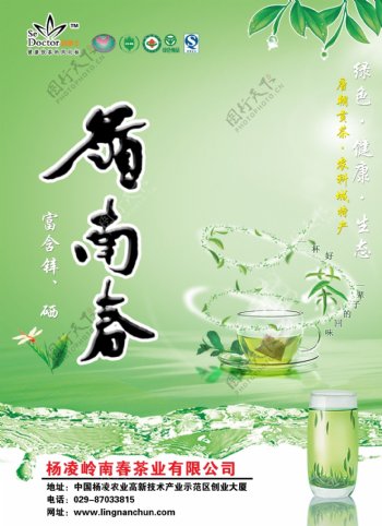 岭南春茶图片