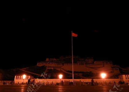 西藏布达拉宫广场夜景图片